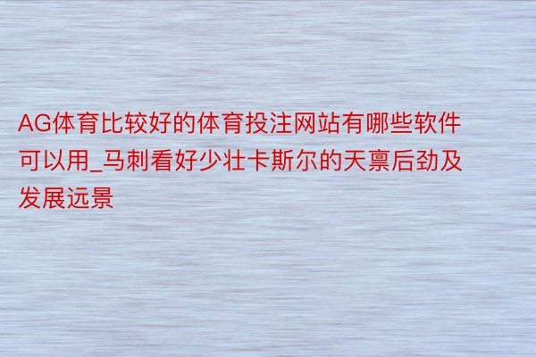 AG体育比较好的体育投注网站有哪些软件可以用_马刺看好少壮卡斯尔的天禀后劲及发展远景