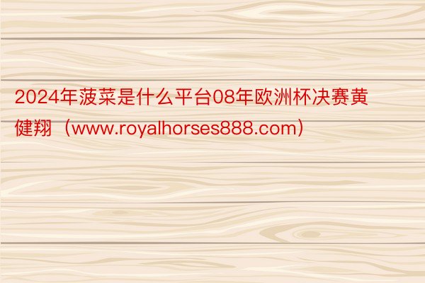 2024年菠菜是什么平台08年欧洲杯决赛黄健翔（www.royalhorses888.com）